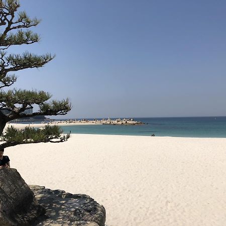 長楽園 Villa Shirahama Ngoại thất bức ảnh